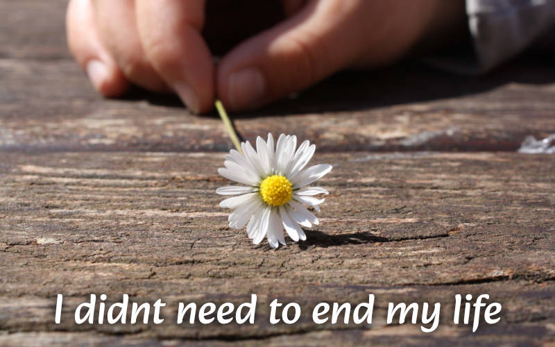 hand holding a daisy